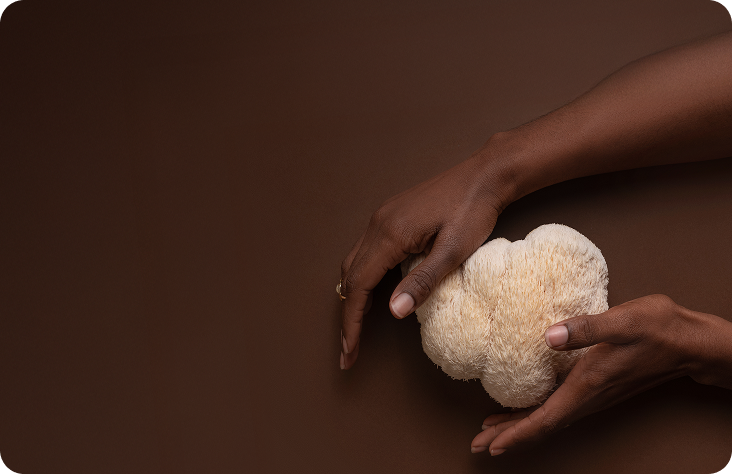 4 Powerful Ingredients for Your Daily Routine