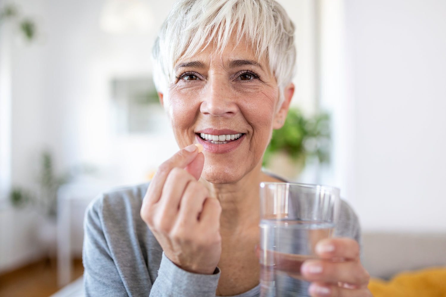 Build Your Wellness Foundation