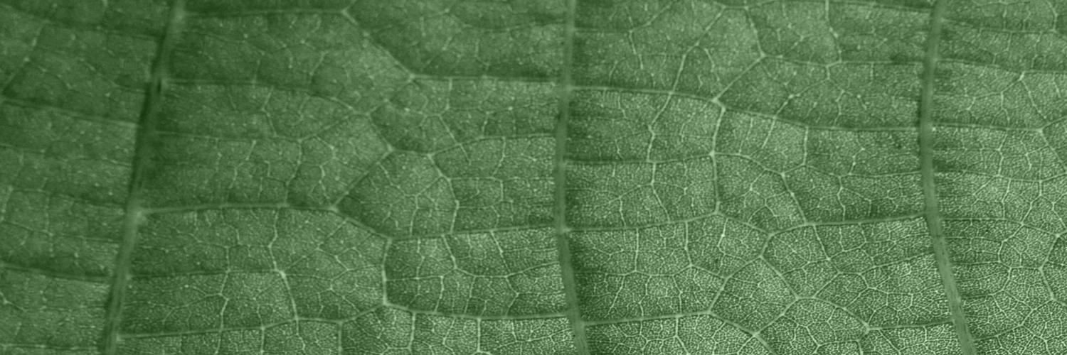 Green Friday: Conscious Choices  That Give Back to People and Planet