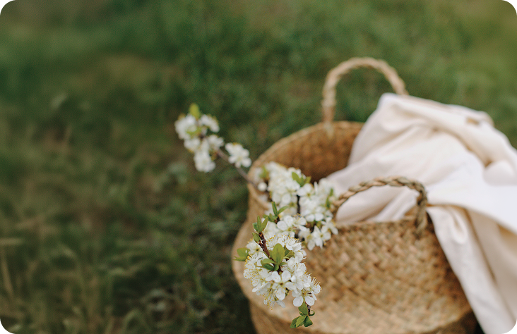 Make Everyday Earth Day at Home