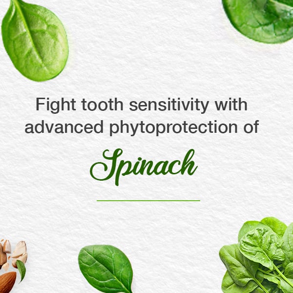 Himalaya - Toothpaste Sensi-Relief Herbal 75ml