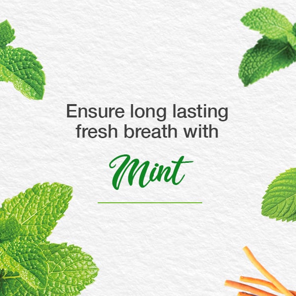 Himalaya - Toothpaste Mint Fresh Herbal 75ml