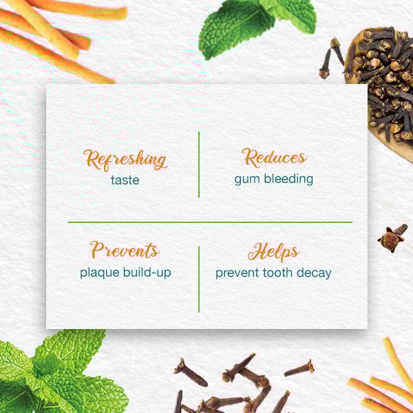 Himalaya - Toothpaste Mint Fresh Herbal 75ml