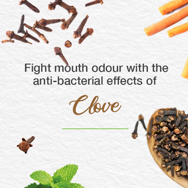 Himalaya - Toothpaste Mint Fresh Herbal 75ml