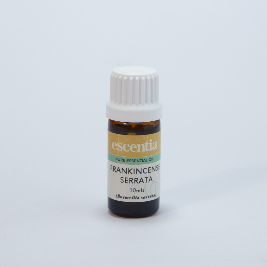 Escentia - Essential Oil Frankincense Serrata 10ml
