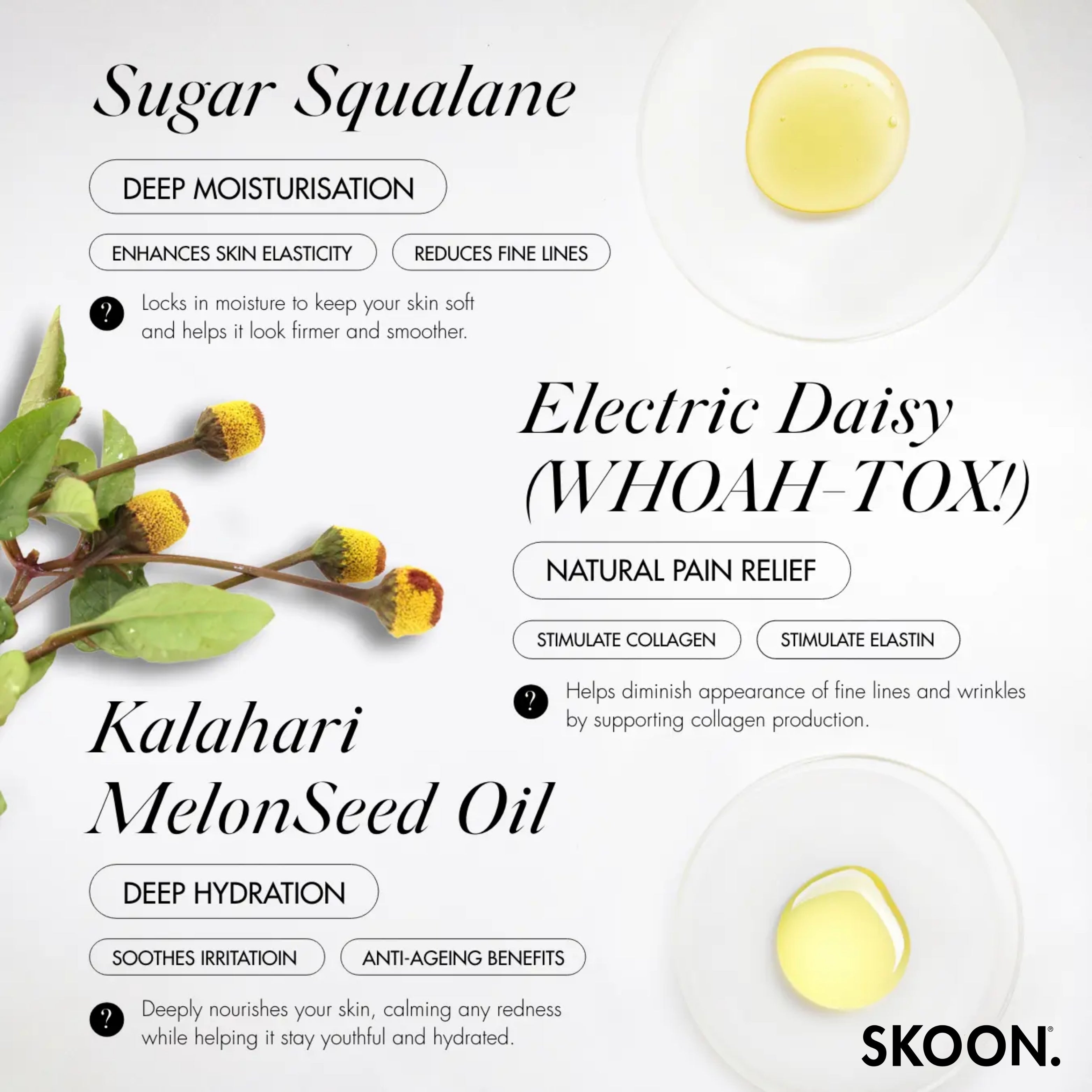 SKOON - Sugarbabe Moisture Concentrate 15ml