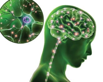 Dr Boxall's - Lions Mane, Bacopa & Gingko Biloba 3-in1 60s