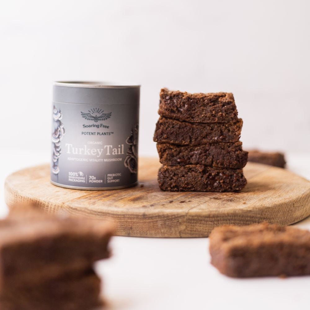 Soaring Free - Turkey Tail Powder 70g