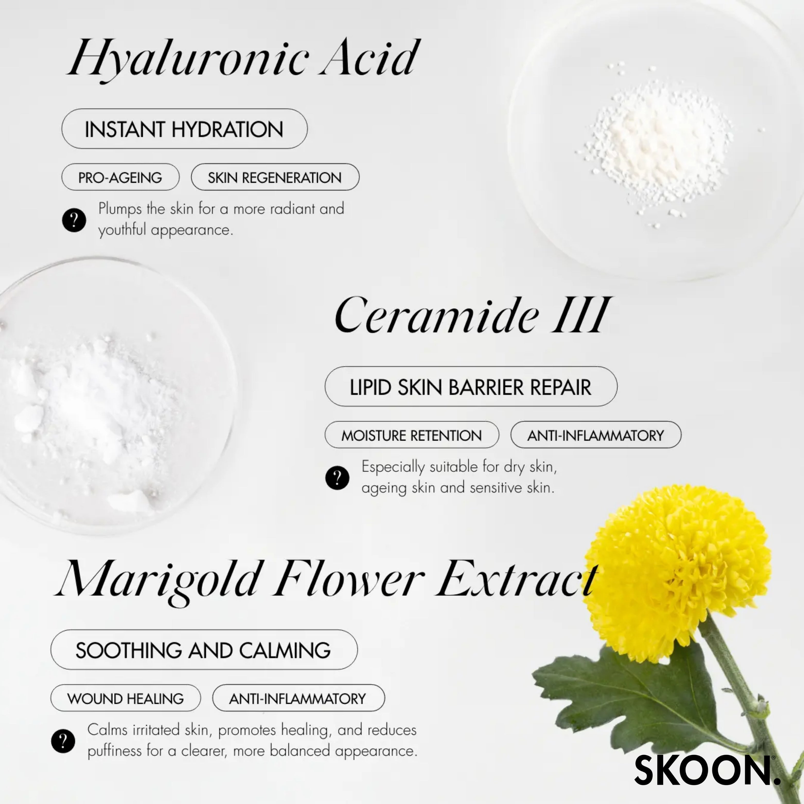 SKOON - The One Face Cream Hydra Plump Refill 50ml