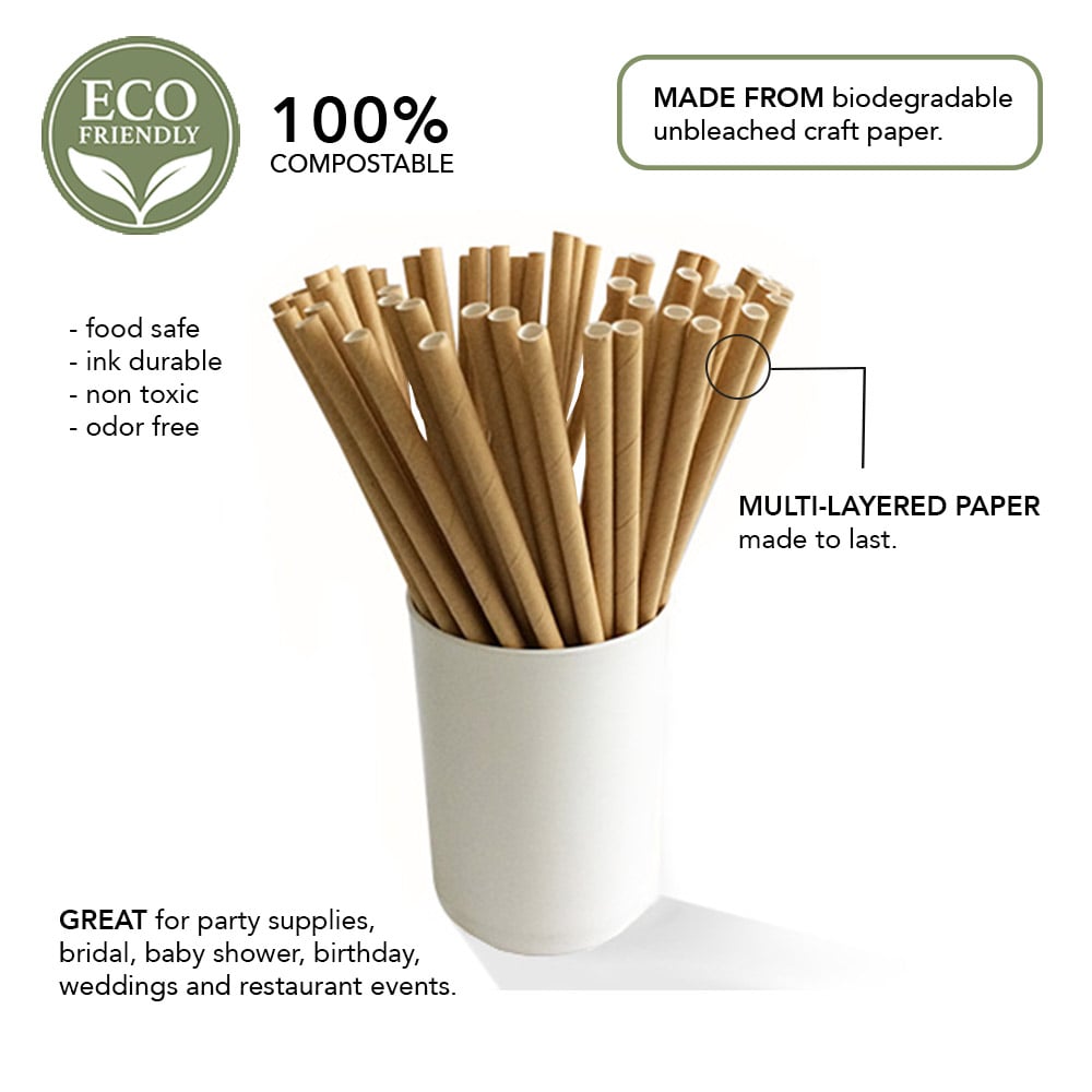 Eco Lifestyle - Kraft Paper Straws 100s