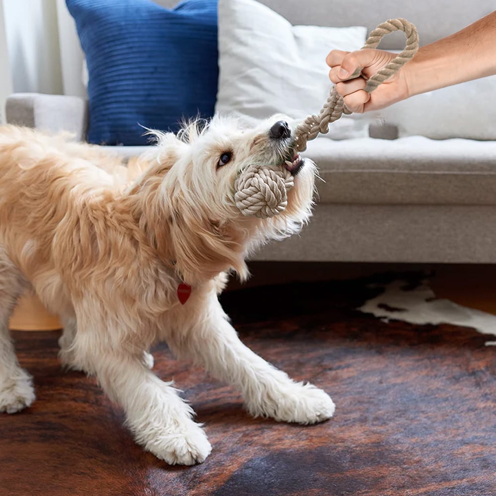 Eco Lifestyle - Dog Rope Toy