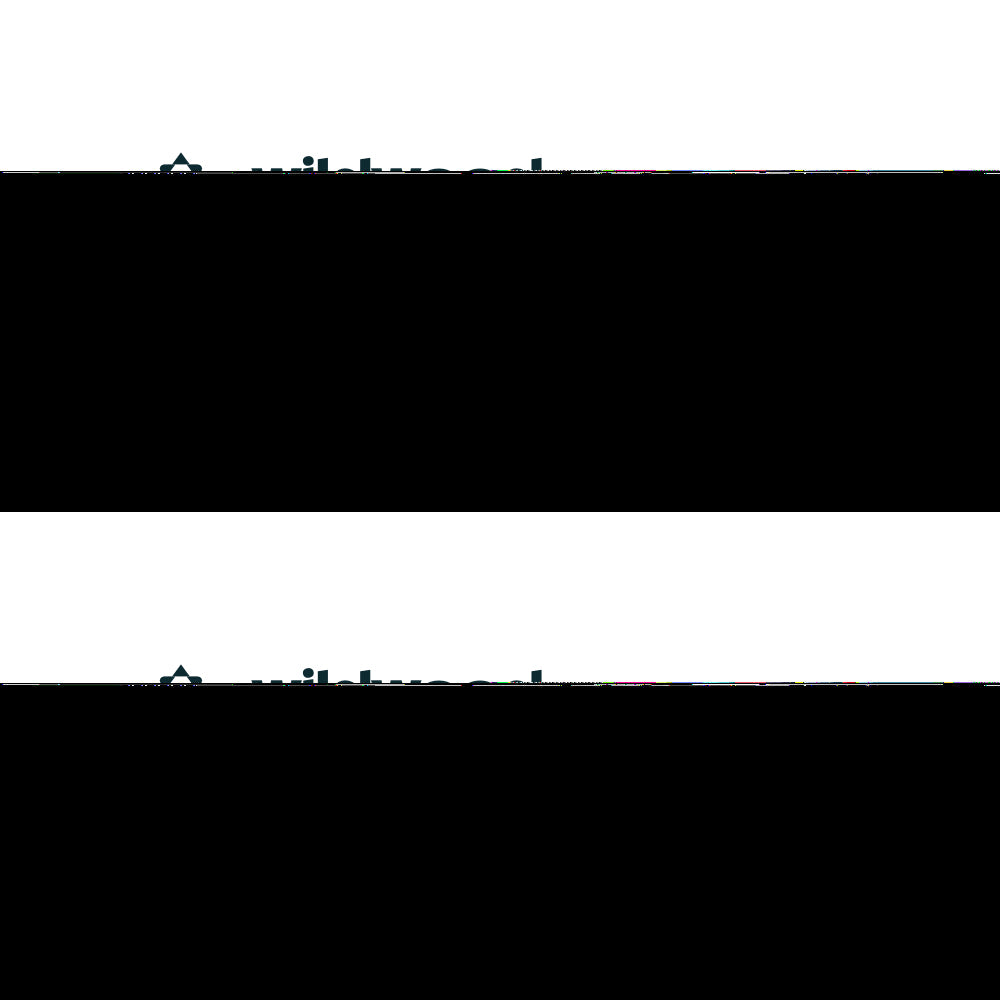 Wildwood - Yerba Mate Lemon & Ginger Sugar Free 300ml