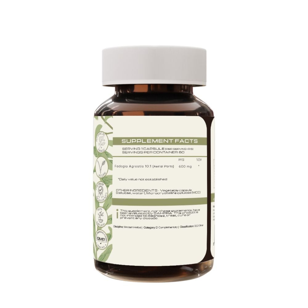 PrimeSelf - Fadogia 60s