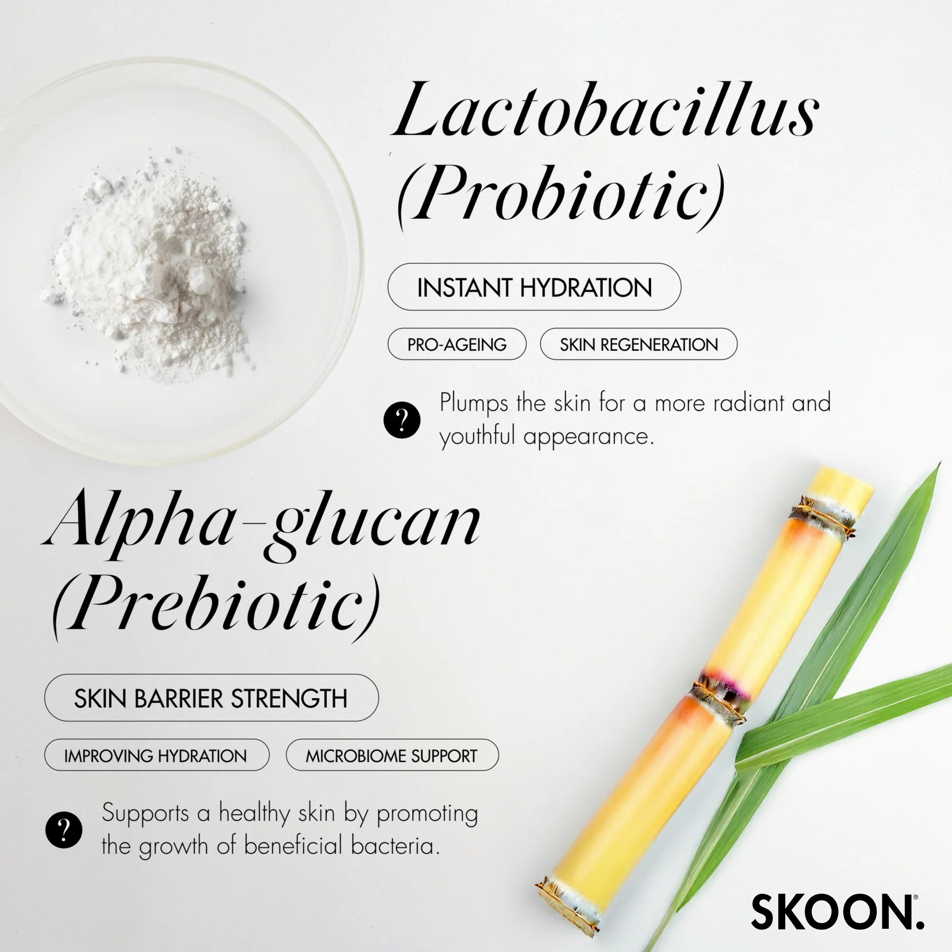 SKOON - Oh Sherbert Azelaic Acid 10% Exfoliating Clay Mask 20g