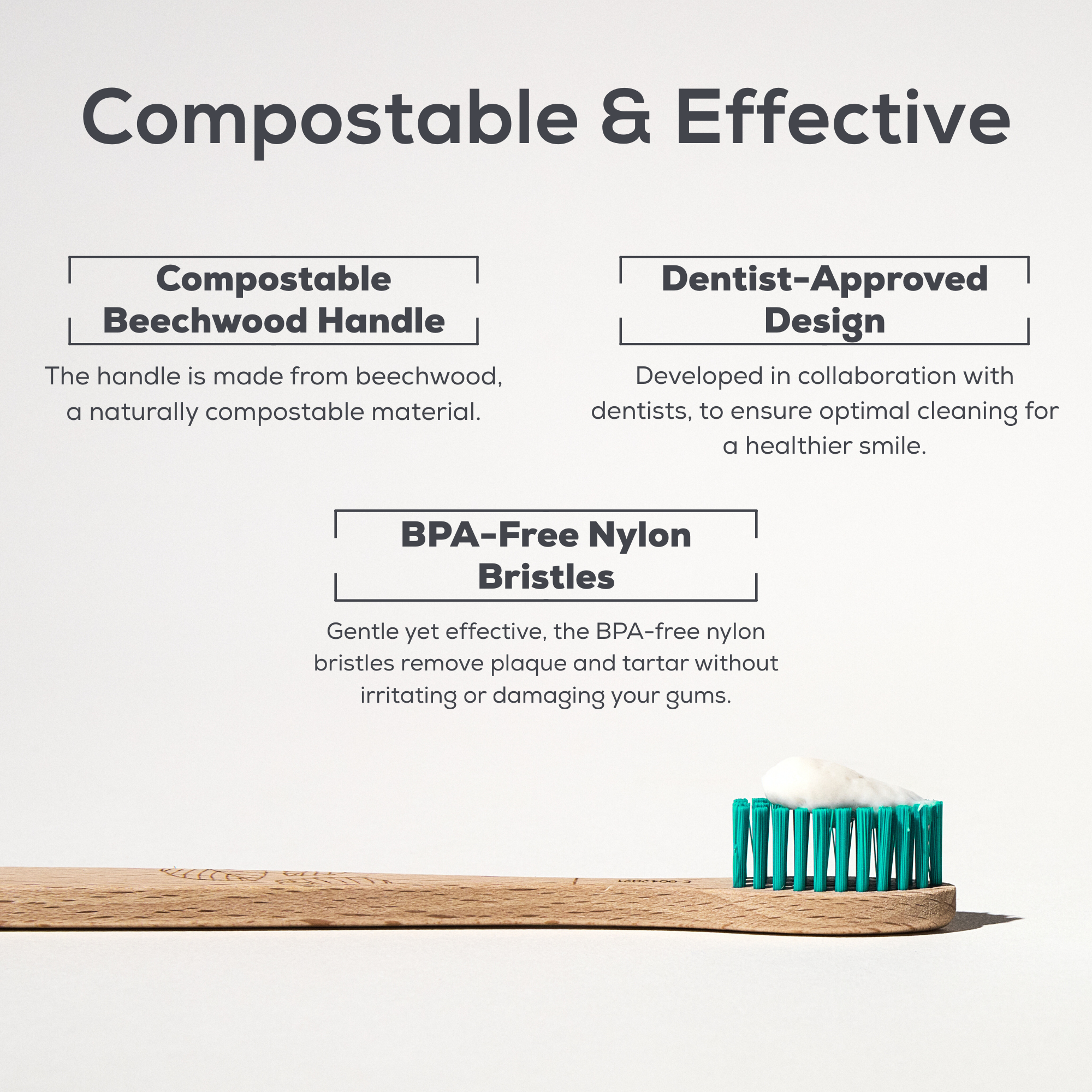Georganics - Beachwood Toothbrush Medium