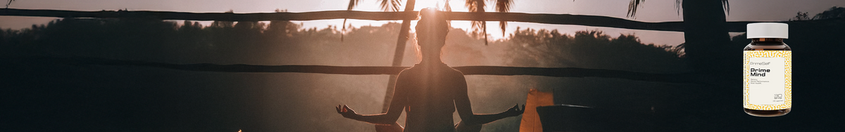 Elevate mental performance