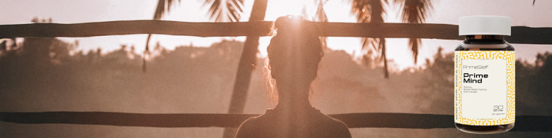 Elevate mental performance