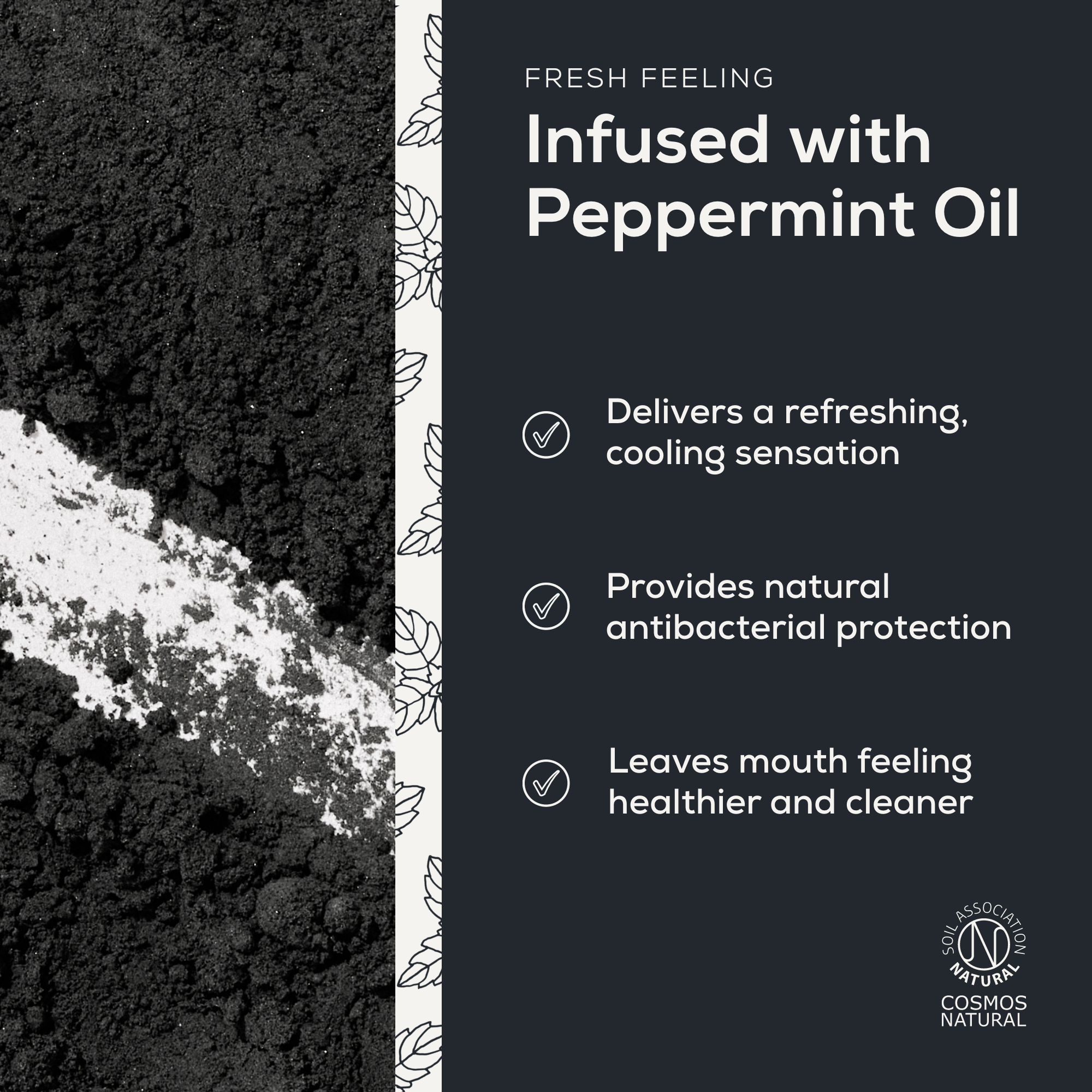 Georganics - Mineral Toothpaste Powder Activated Charcoal 60ml