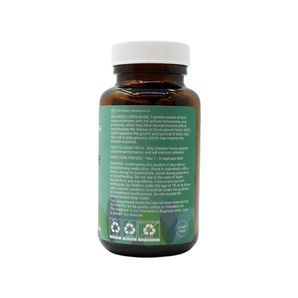 Wellness - Lions Mane 500 mg 90s