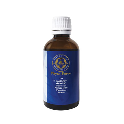 Phyto Force - Walnut (black) 50ml