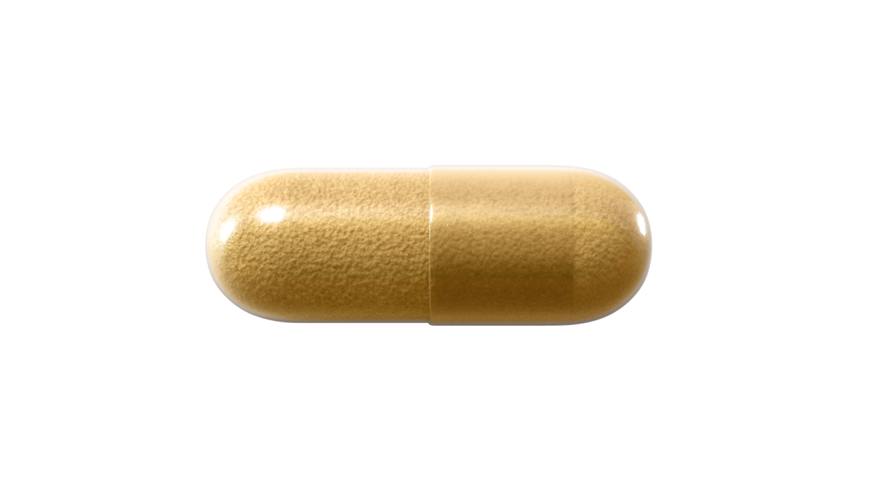 Natroceutics - Lion's Mane Bioactive 60s