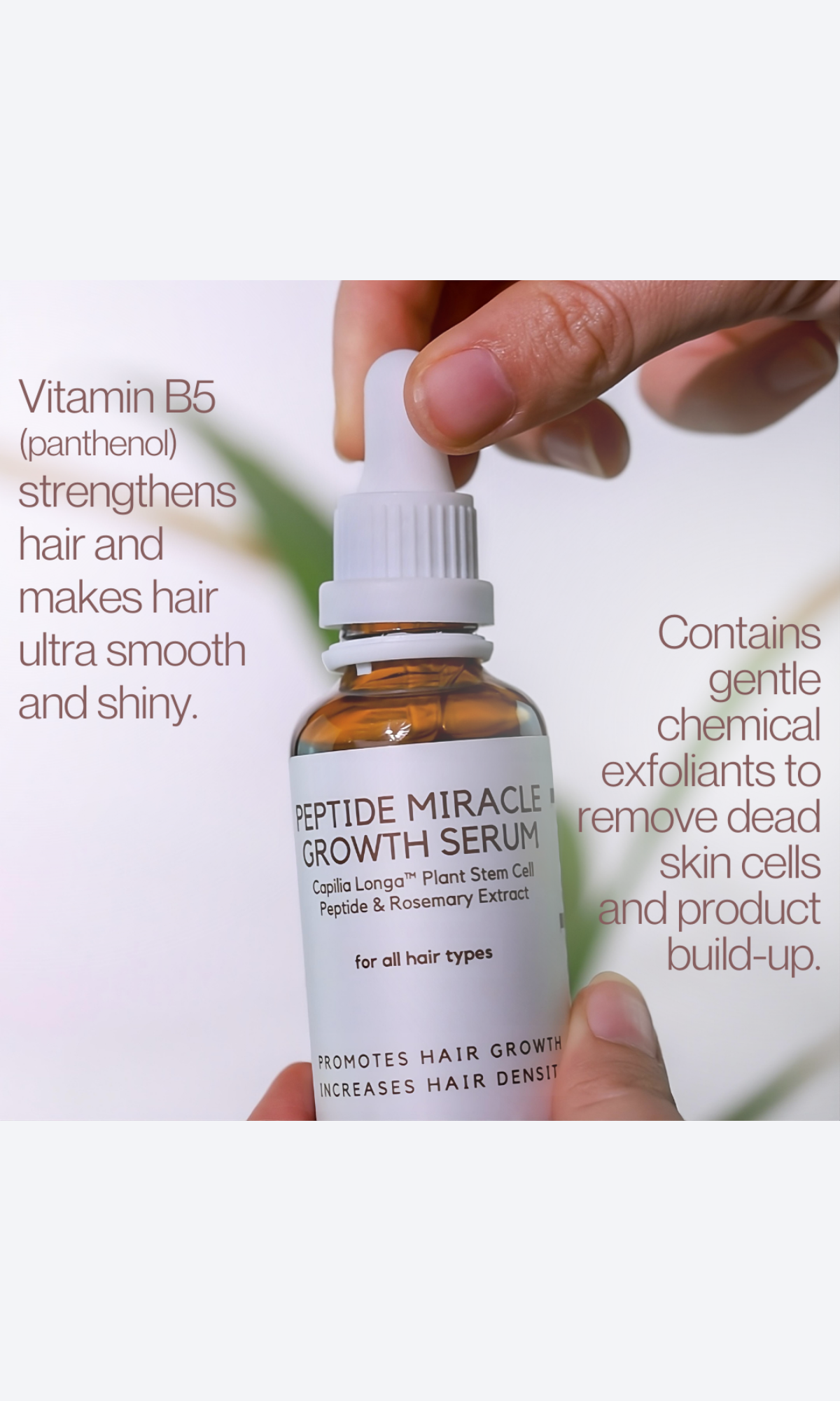 Standard Beauty - Peptide Miracle Growth Hair Mist 50ml