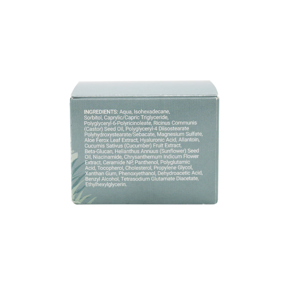 Wellness - Nurture Night Cream 50ml