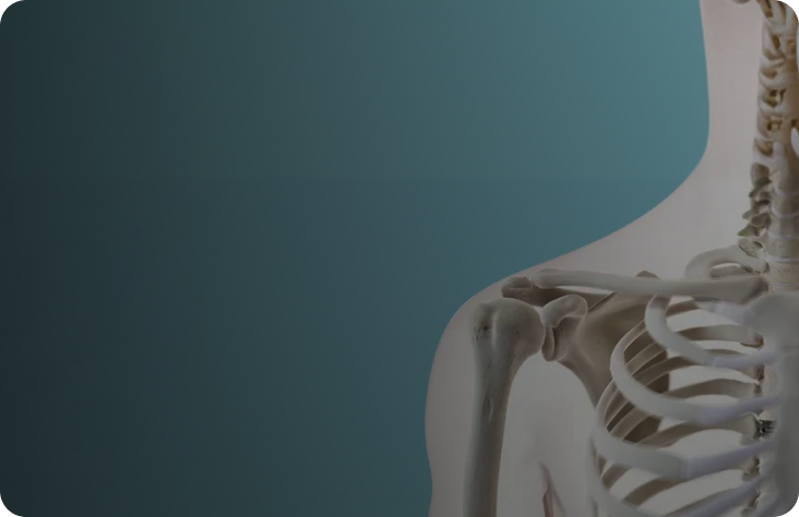 Bone Health 101 - mobile hero