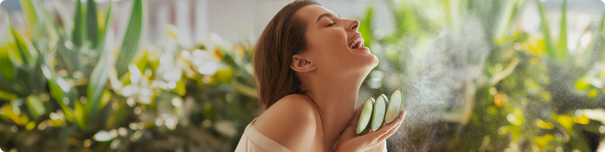 the-skin-loving-power-of-aloe-vera dt hero